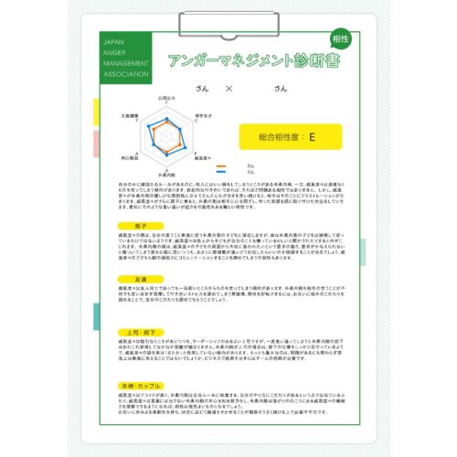 アンガーマネジメント相性診断（あとからプラス）